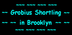 Grobius Shortling in Brooklyn